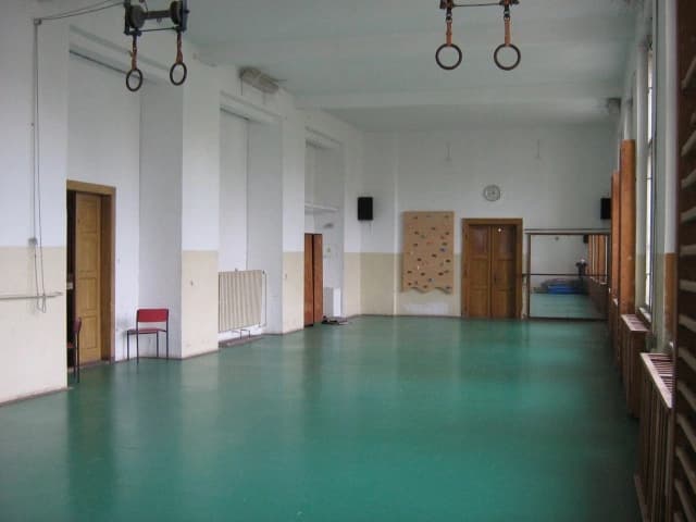 Srncův (malý) sál